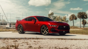 Ford Mustang, Red cars, 4K wallpaper