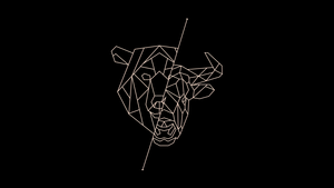 Bull, Bear, Minimalist, Black background, AMOLED, Trading, Stock Market, Forex, 4K wallpaper
