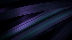 Purple leaves, Macro, Closeup Photography, Dark aesthetic, 4K wallpaper