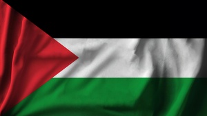 Flag of Palestine, 4K wallpaper