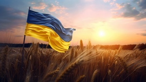 , National flag, Landscape, Wheat field, 4K wallpaper