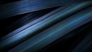 Blue aesthetic, Leaves, Pattern, Macro, Dark aesthetic, Closeup Photography, 4K wallpaper