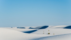 Desert, Landscape, New Mexico, 4K wallpaper