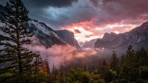 Yosemite National Park, Yosemite Valley, Misty, Morning, 4K wallpaper