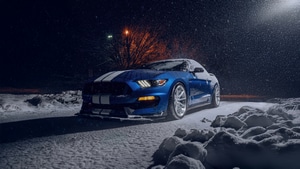Ford Mustang, Shelby, Ford, 2025 Cars, Cars, Behance, 4K wallpaper