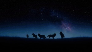 Fox, Stars, Night, Minimalism, Minimalist, Dark, Black, Ai, Artist, Artwork, Digital Art, 4K wallpaper
