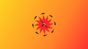 Orange, Circle, Abstract, Artwork, Art, Digital Art, Artist, 4K wallpaper