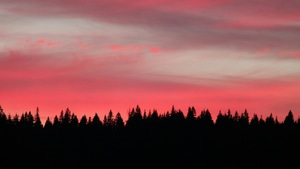 Sunset, Lake, Sky, Tree, Trees, Nature, 4K wallpaper