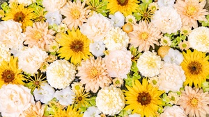 Flower bouquet, Yellow aesthetic, Chrysanthemum flowers, Daisy flowers, 4K wallpaper