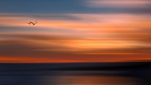 Nature, Sky, Sea, Ocean, Birds, 4K wallpaper