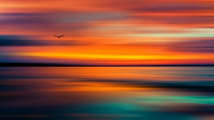 Sky, Orange, Sea, Bird, Nature, 4K wallpaper