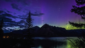 Aurora, Nature, Mountains, Lake, Pond, Tree, Sky, Stars, 4K wallpaper