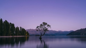 Nature, Mountains, Lake, Pond, Tree, Sky, 4K wallpaper