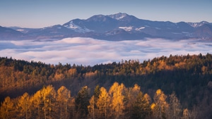 Mountains, Mountain, Trees, Tree, Snow, Mist, Clouds, Nature, 4K wallpaper
