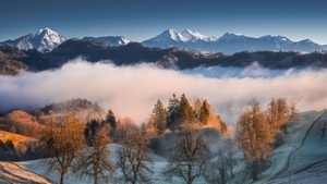 Mist, Mountains, Trees, Tree, Clouds, Snow, Nature, 4K wallpaper