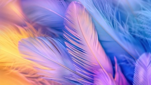 Feathers, Aesthetic, Colorful background, 4K wallpaper