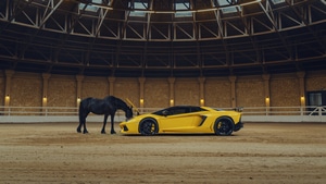Lamborghini, Lamborghini Aventador, Cars, Yellow, Horse, 4K wallpaper