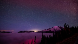 Meteor Shower, Stars, Star, Tree, Trees, Clouds, Nature, 4K wallpaper