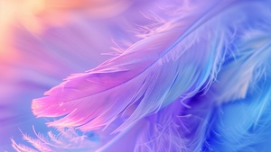 Aesthetic, Feathers, Colorful background, 4K wallpaper
