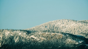 Snow, Mountains, Mountain, Norway, Tree, Nature, 4K wallpaper
