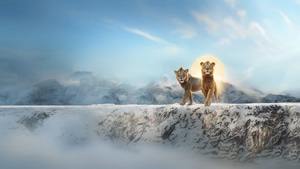 Mufasa The Lion King, Movies, 2024 Movies, Animated Movies, Disney, The Lion King, Poster, 4K wallpaper