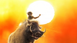 Mufasa The Lion King, Movies, 2024 Movies, Animated Movies, Disney, The Lion King, Timon, Pumbaa, Timon And Pumbaa, 4K wallpaper