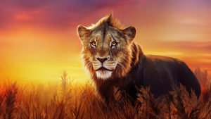 Taka, The Lion King, Movies, 2024 Movies, Animated Movies, Disney, 4K wallpaper