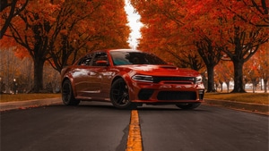 Dodge Challenger, Dodge, Cars, Muscle Cars, 4K wallpaper
