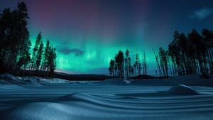 Nature, Northern Lights, Trees, Mountains, Snow, Stars, 4K wallpaper