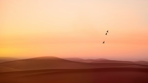 Nature, Dunes, Sand, Birds, 4K wallpaper