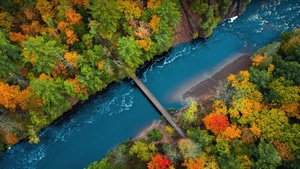 Bridge, River, Forest, Nature, 4K wallpaper