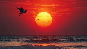 Sunset, Sunrise, Morning, Artist, Artwork, Digital Art, 4K wallpaper