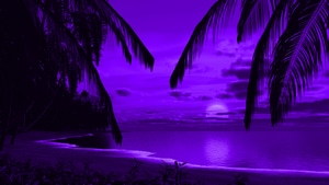 Palm, Trees, Purple, Artist, Artwork, Digital Art, 4K wallpaper