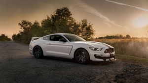 Shelby, Vintage Cars, Cars, 4K wallpaper