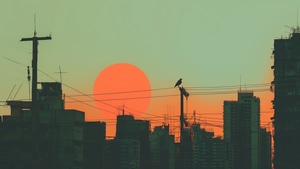Birds, Artist, Artwork, Digital Art, 4K wallpaper