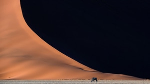 Desert, Artist, Artwork, Digital Art, 4K wallpaper