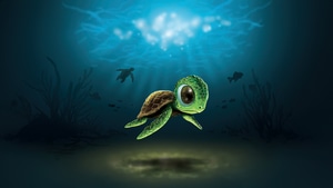 Turtle, Artwork, Art, Digital Art, Artist, Artstation, 4K wallpaper