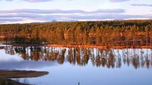 Trees, Lake, Reflection, Nature, 4K wallpaper