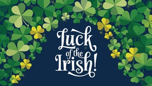 Greeting Card, St. Patricks Day, Shamrock, Four-leaf clovers, Green aesthetic, Irish, Festive season, 4K wallpaper