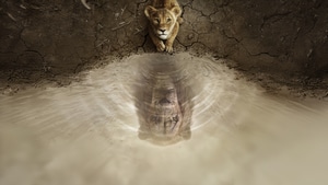 Mufasa The Lion King, Movies, 2024 Movies, Animated Movies, Disney, The Lion King, 4K wallpaper