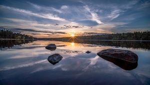 Morning, Nature, 4K wallpaper