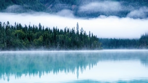 Lake, Trees, Nature, 4K wallpaper