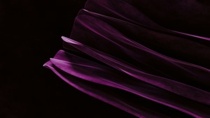 Abstract, Pink, Purple, Artist, Artwork, Digital Art, , 4K wallpaper