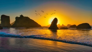 Sunset, Birds, Ocean, Nature, 4K wallpaper