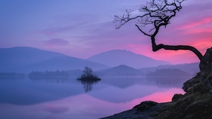 Pastel, Sunset, Lake, Mountains, Serene, Reflection, Silhouette, Lone tree, Dusk, Twilight, Misty, Scenic, Calm, 4K wallpaper