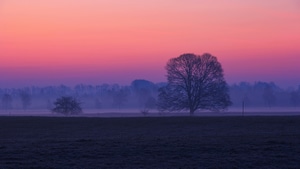 Sunrise, Nature, 4K wallpaper