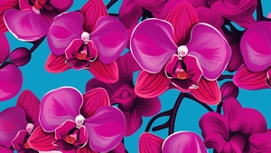 Pink, Artist, Artwork, Digital Art, 4K wallpaper