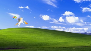Windows, Windows Xp, Funny, Computer, Cat, 4K wallpaper