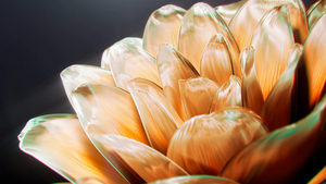 Golden, Digital flower, Closeup, 4K wallpaper