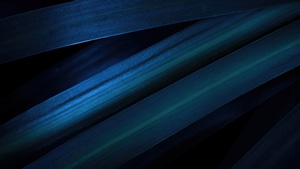Abstract, Artist, Artwork, Digital Art, 4K wallpaper